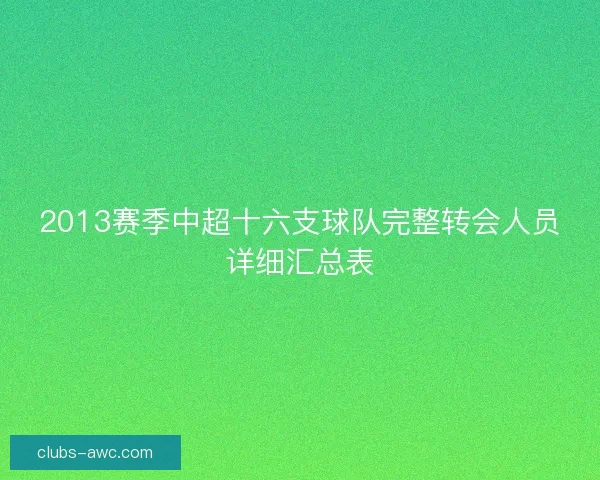 2013赛季中超十六支球队完整转会人员详细汇总表